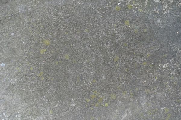 Cost of Slab Staining Service in Petaluma